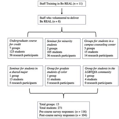 Evaluation of the Implementation of a Well-being Promotion Program for College Students